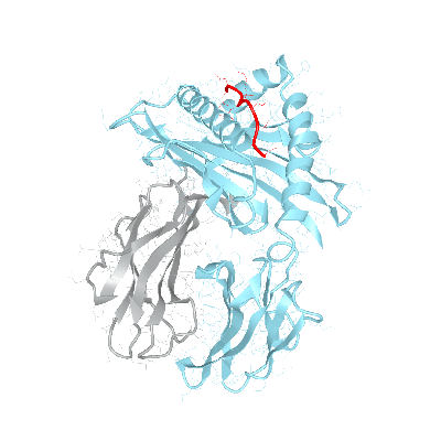 HLA–A*02:01bio