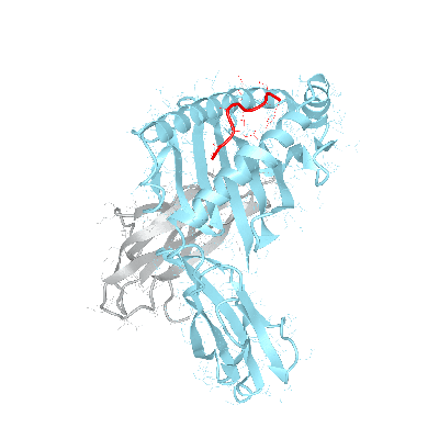 HLA–B*27:05bio