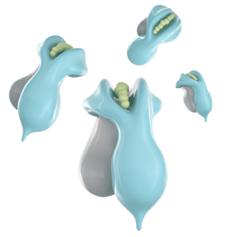 1-class-sub-category HLA-A proteins