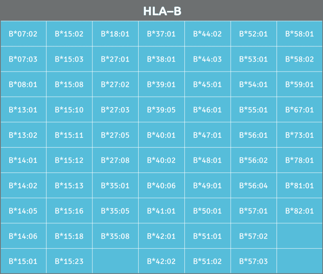 Available HLA-B alleles