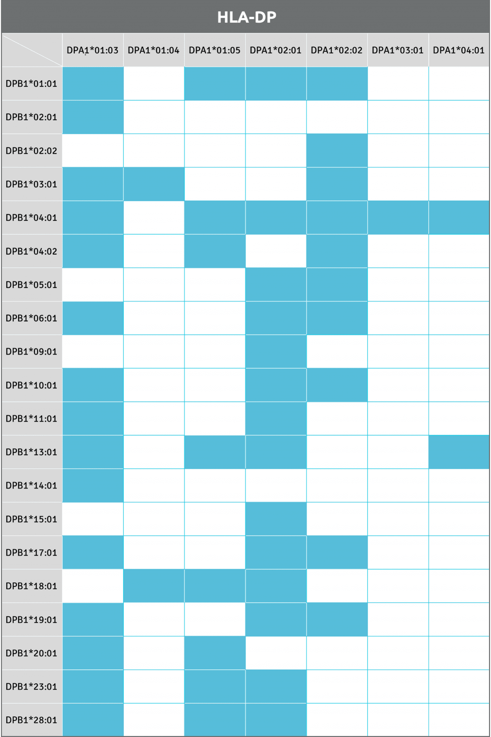 Map of available HLA-DP alleles