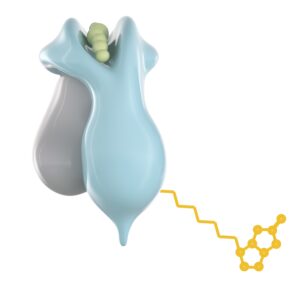 Image 5 - Biotinylated HLA