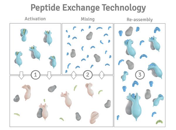 Image-9-Exchange