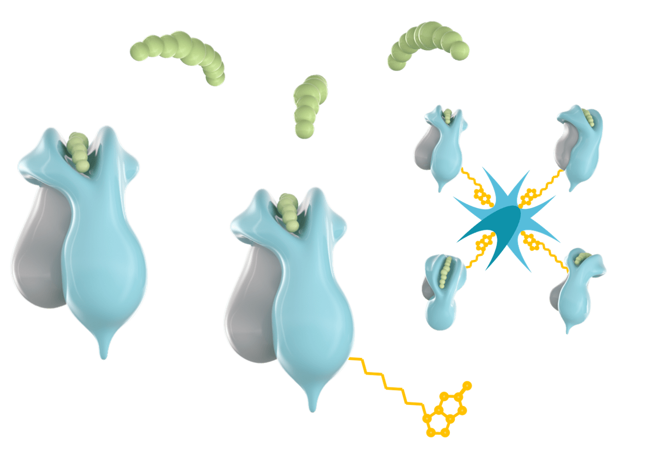 sHLA-molecule-modality