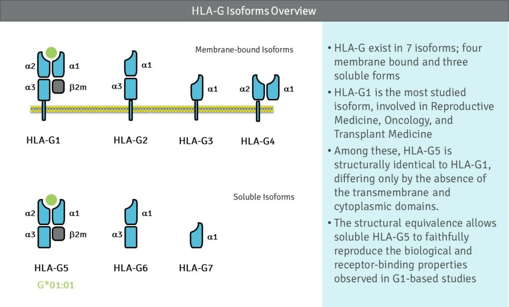 Isoforms